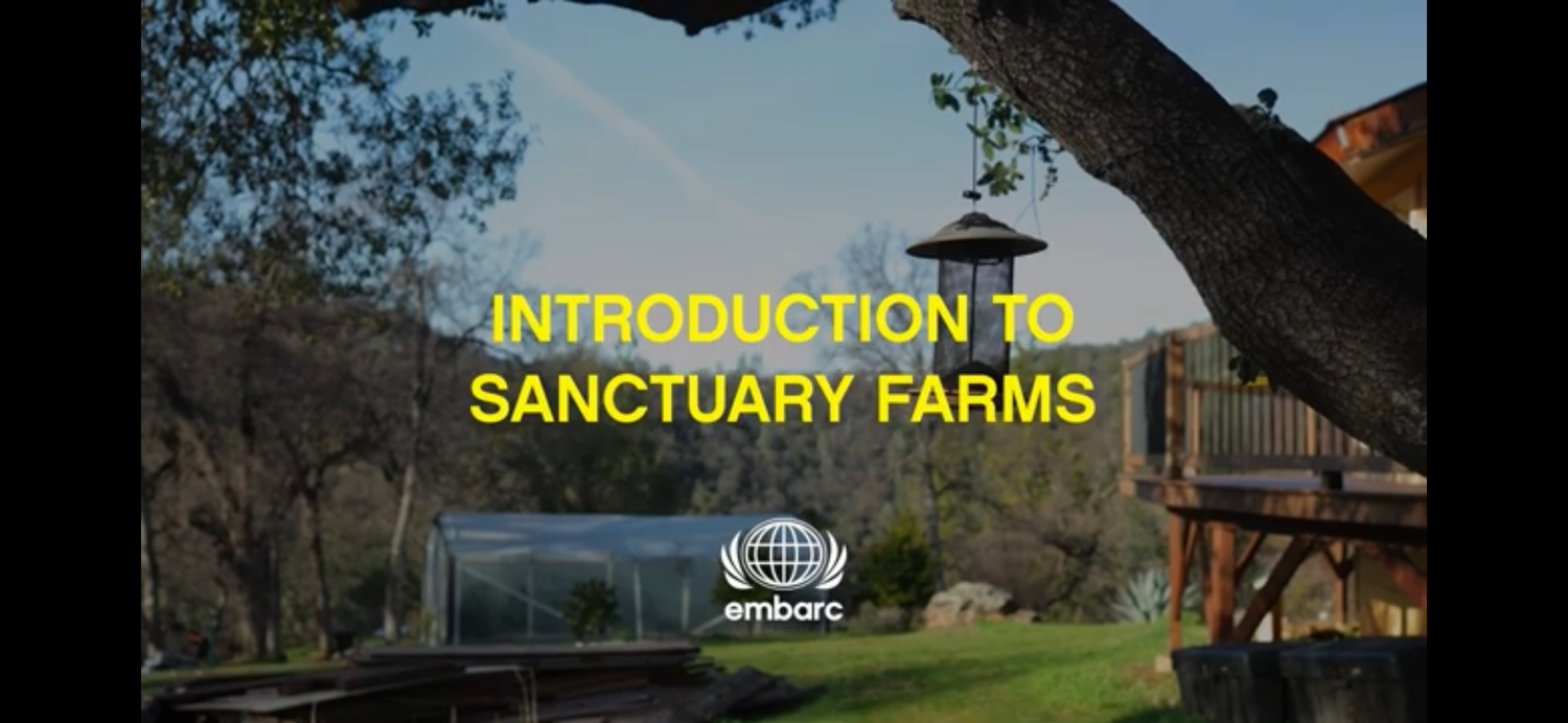 Sanctuary Farms: A Legacy of Cultivation